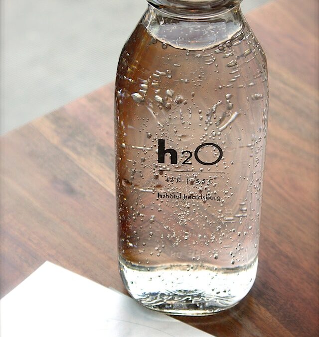 Why stay Hydrated?