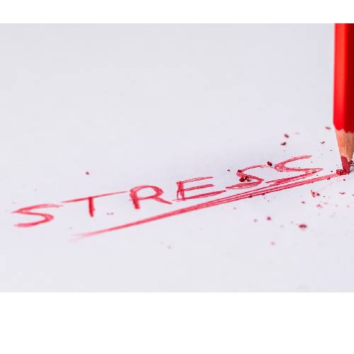 Stressed?